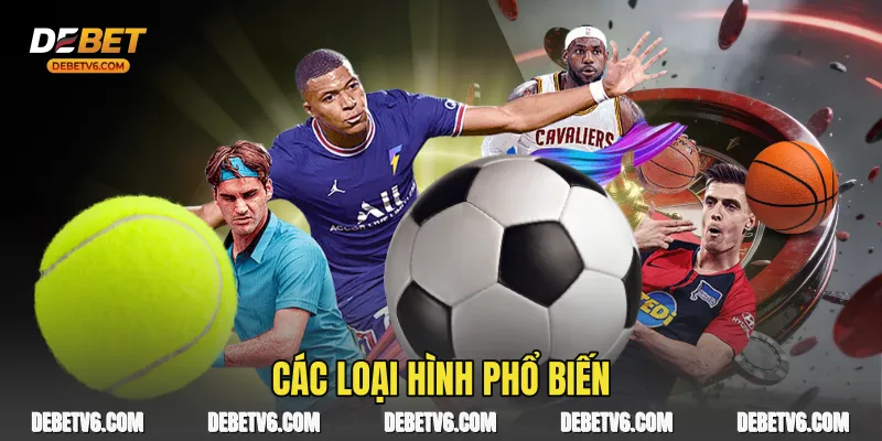 Các loại hình phổ biến 