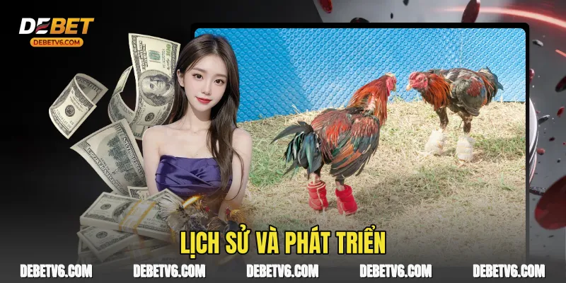 Lịch sử và phát triển